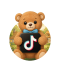 tiktok new (1)
